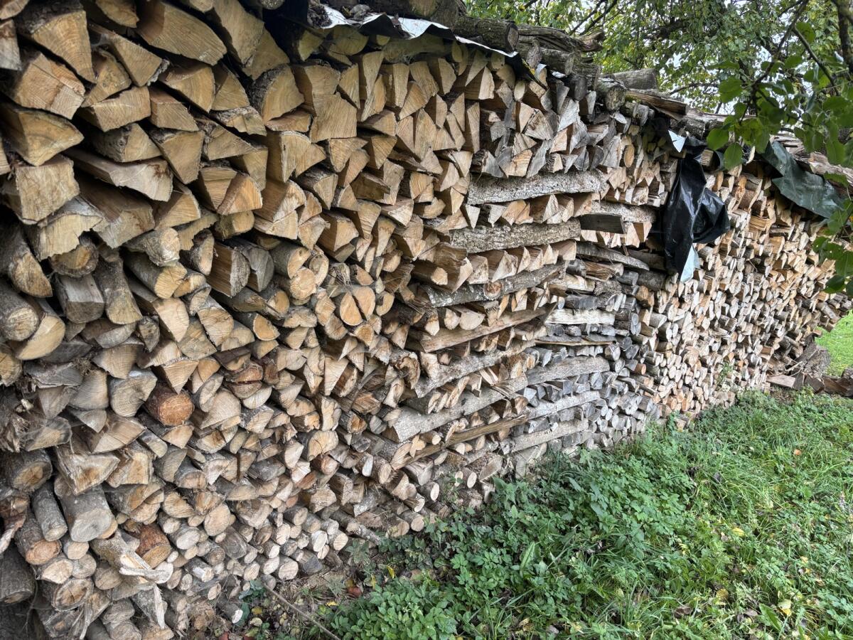Brennholz hart 2