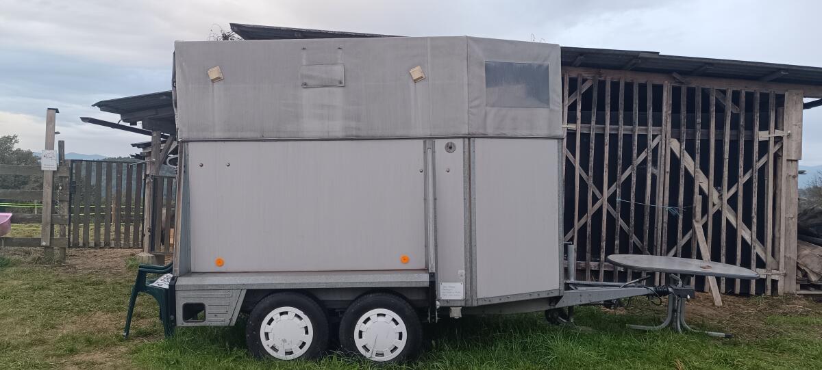 Westfalia Pferdeanhänger 1
