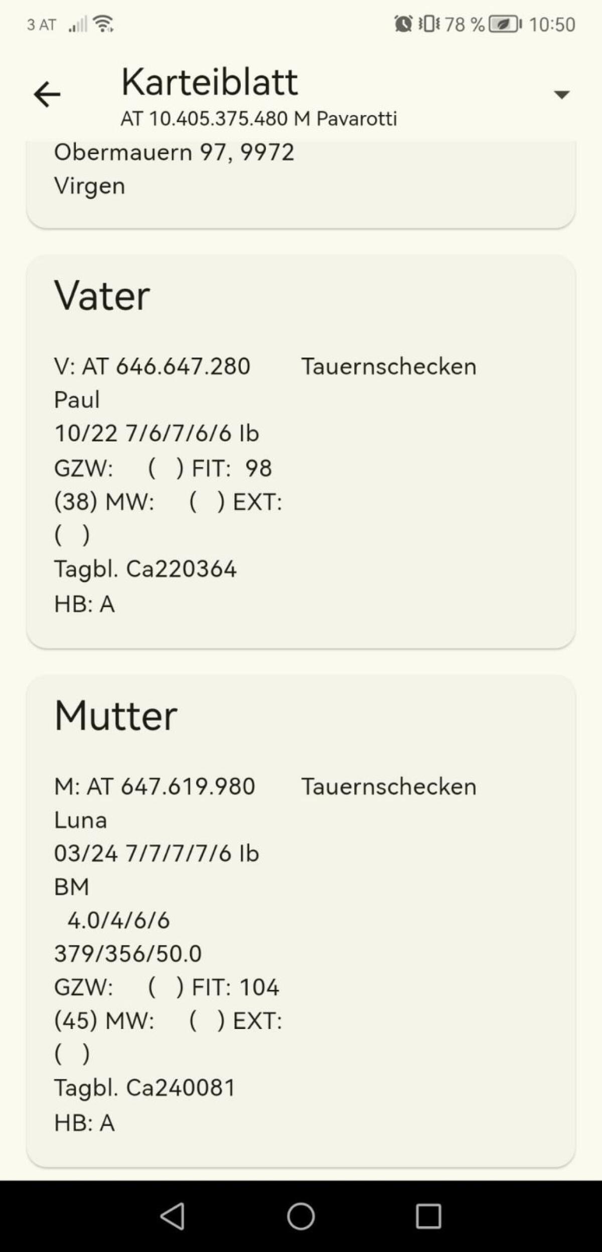 Tauernschecken Bock Pavarotti 2