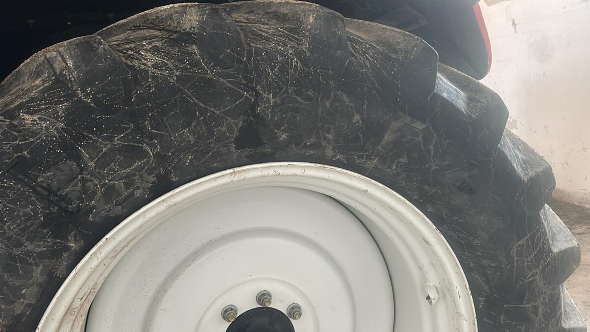 Reifen Pirelli 650/65 R42 2 Stk 2