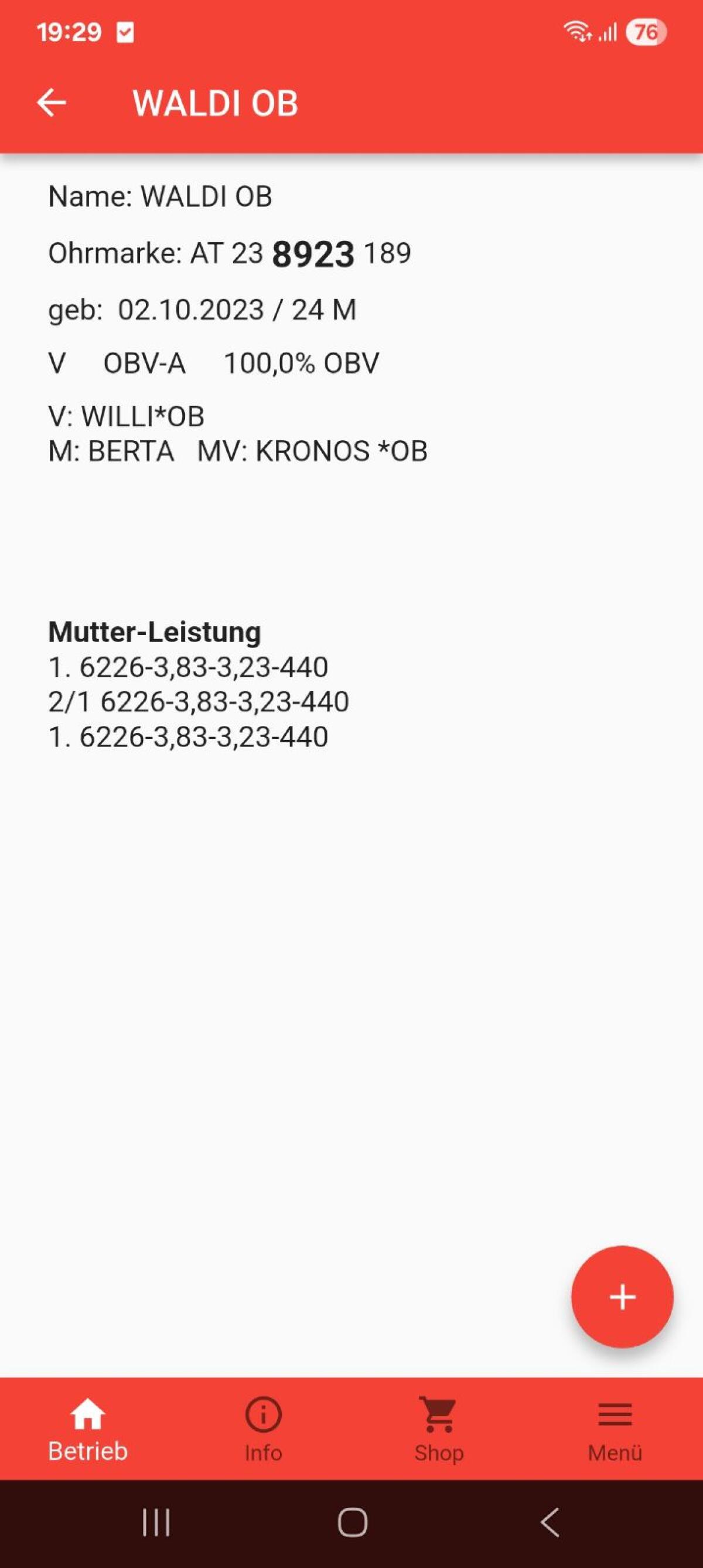 Verkaufe OBV Stier 2