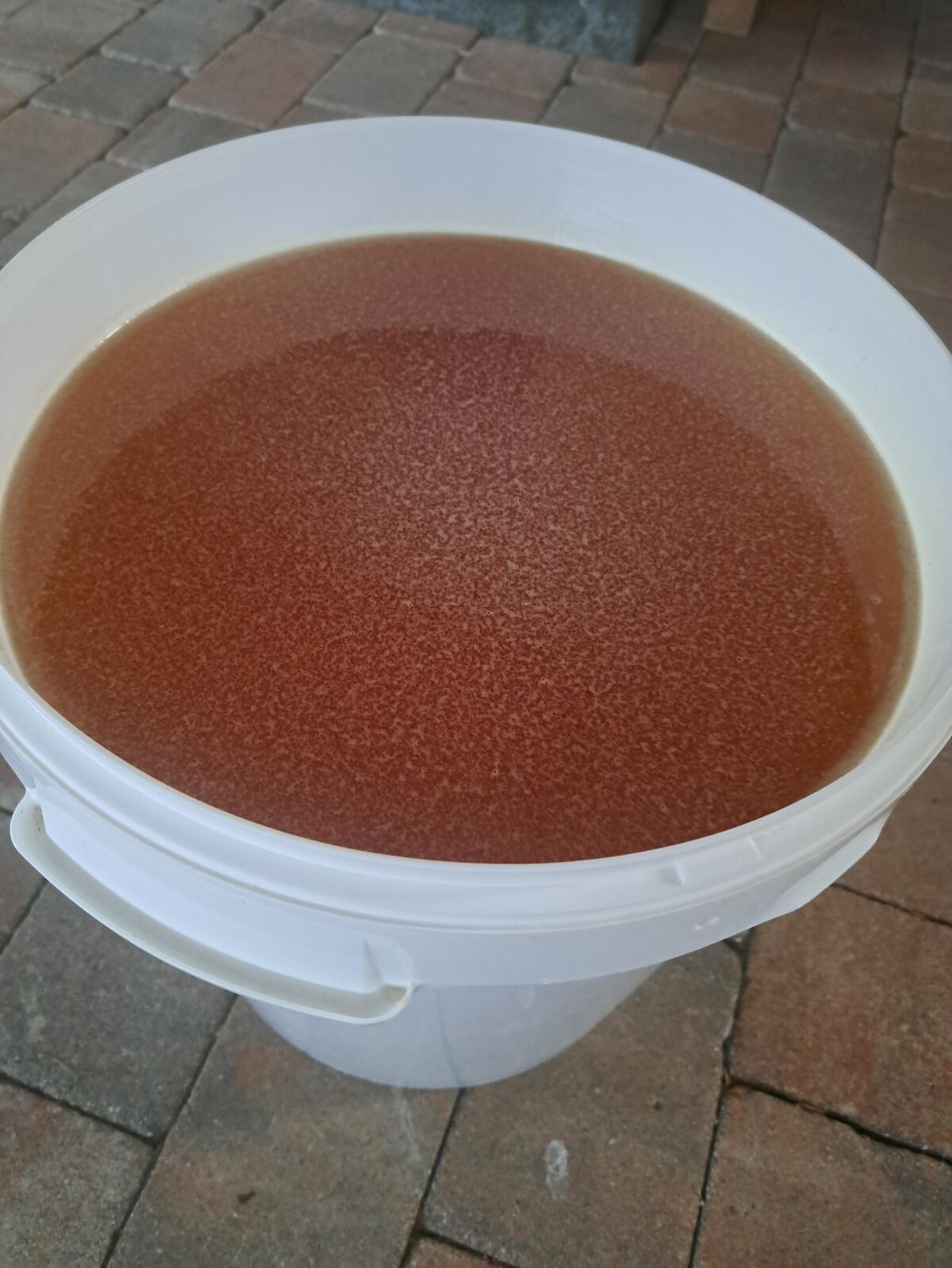 Sommerhonig aus dem Weinviertel - 2 Hobbocks zu je 40 kg 2