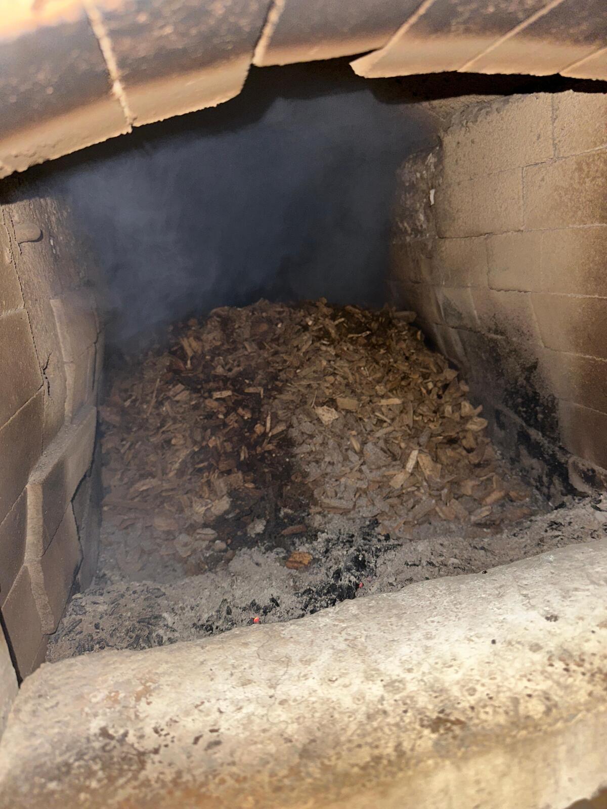 Polytechnik Hackschnitzelheizung 75 kW 3