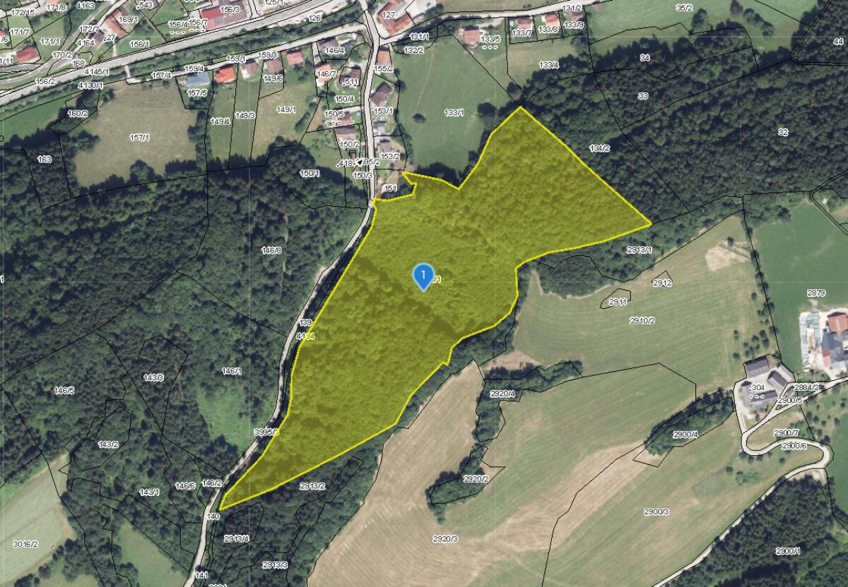 Wald 6,9 ha 3