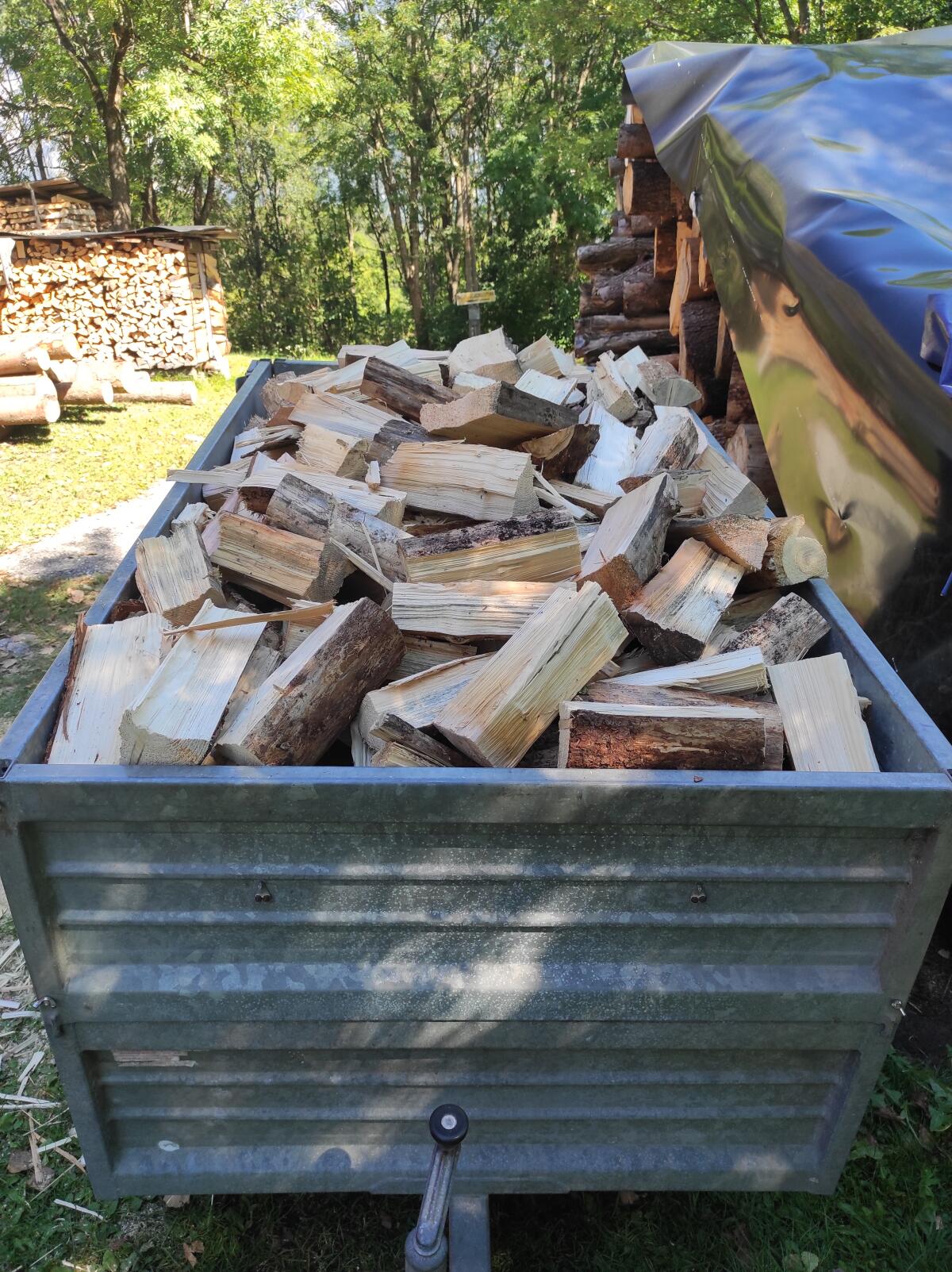 Brennholz, Hartholz, Ofenholz, Kaminholz - trocken und ofenfertig 1