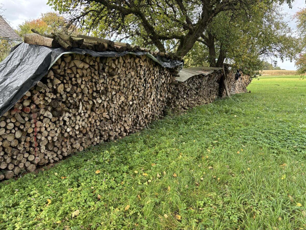 Brennholz hart 1