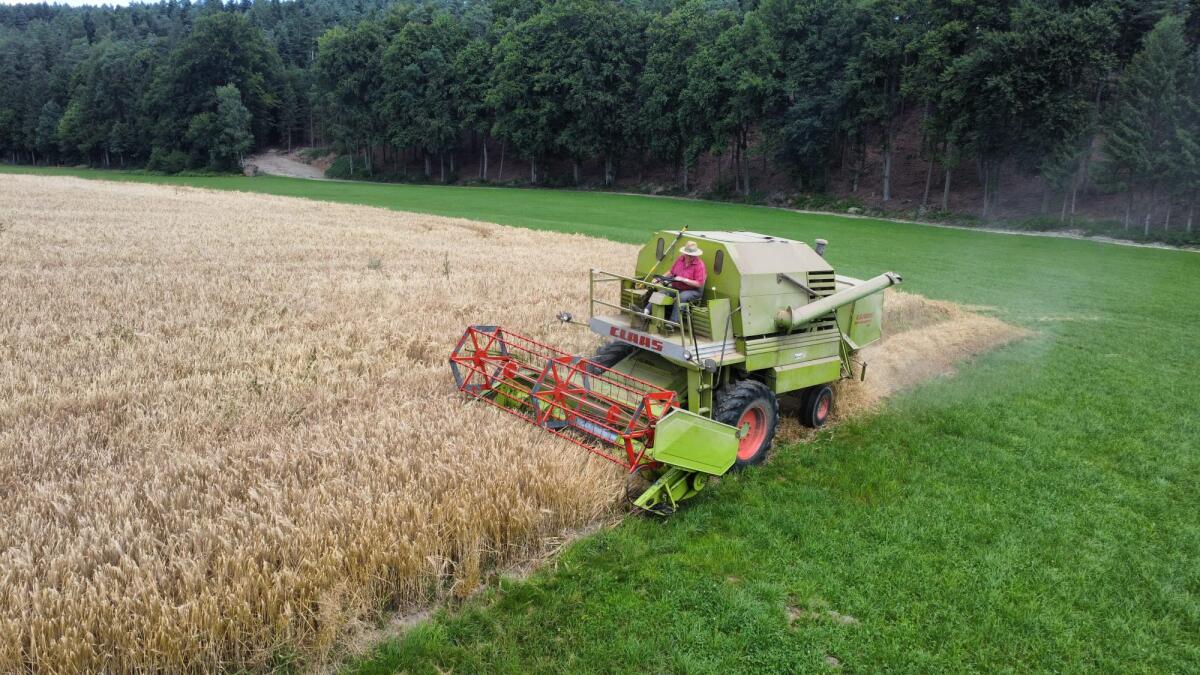 Claas Mercator 70 3