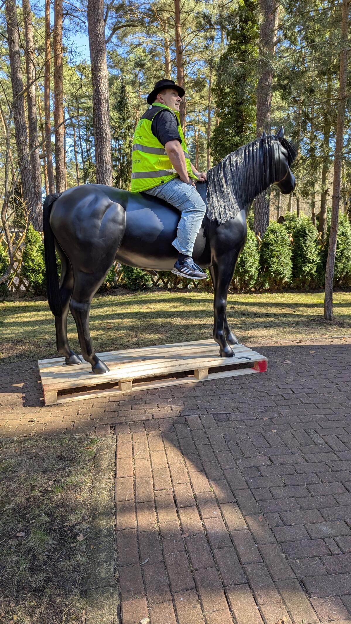 Pferd lebensgroß in 3D zum Aufsitzen bis 100 kg belastbar 3