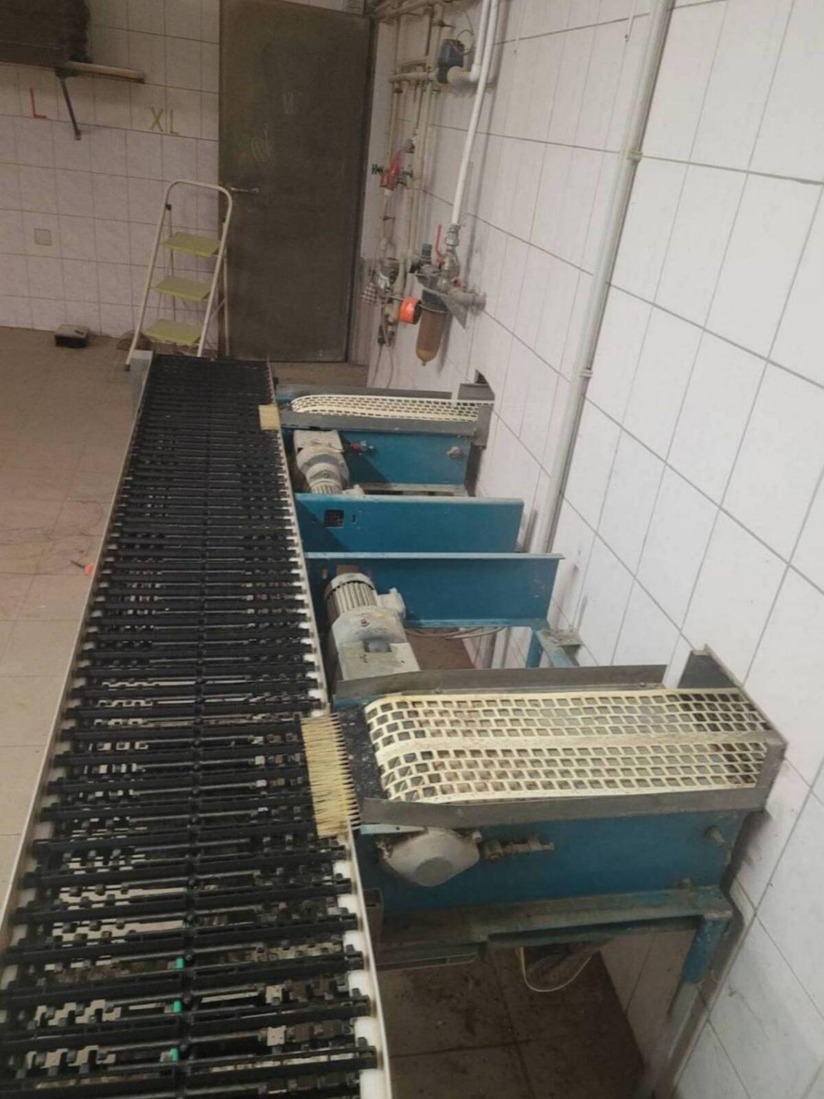 Hühnerstallaufstallung und Fütterungstechnik 1