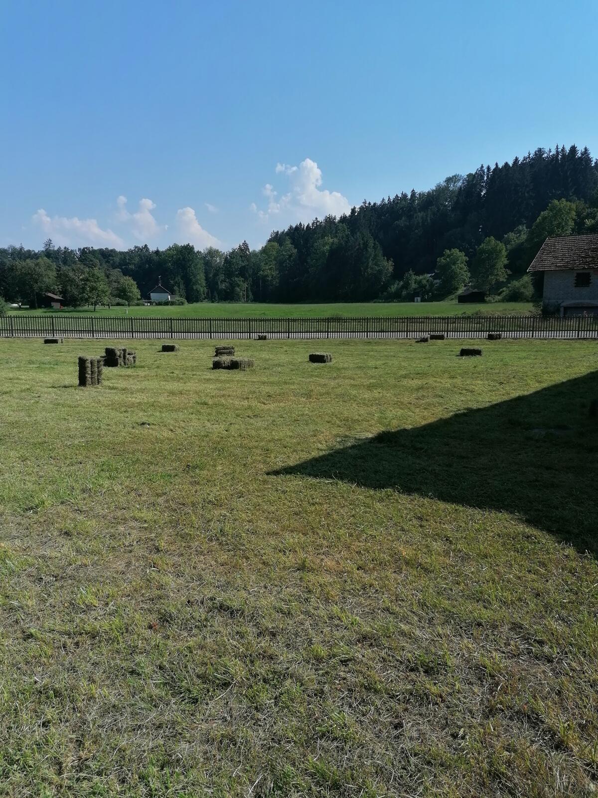 Heu in Kleinballen 2