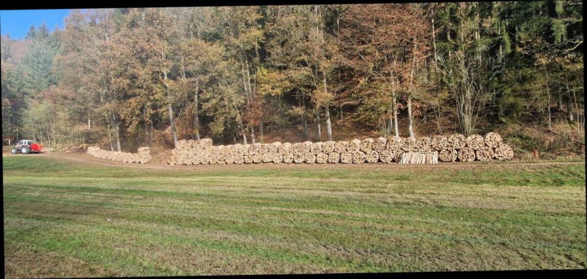 Brennholz Buche Bündel 2