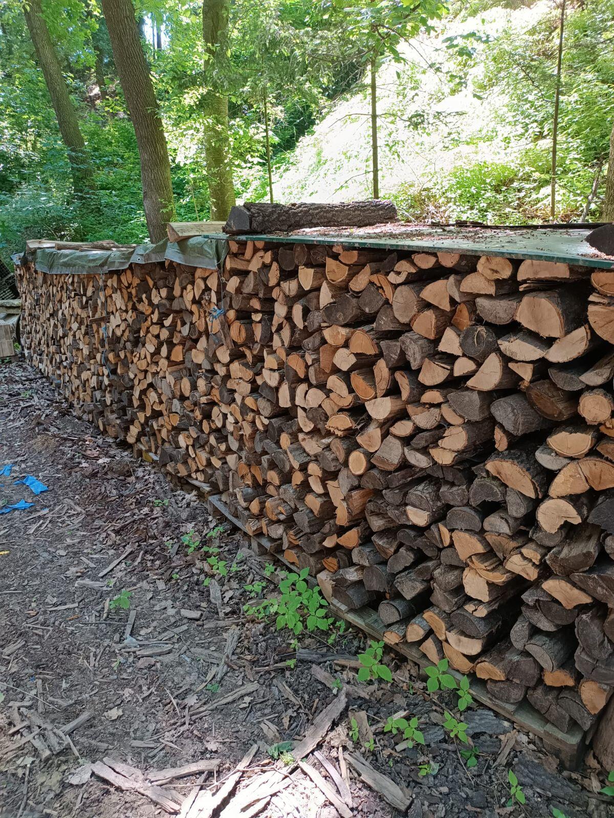 Brennholz 2