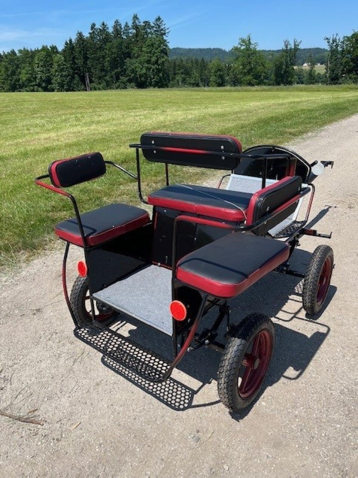 Mini Pony Kutsche Bj. 2025 2