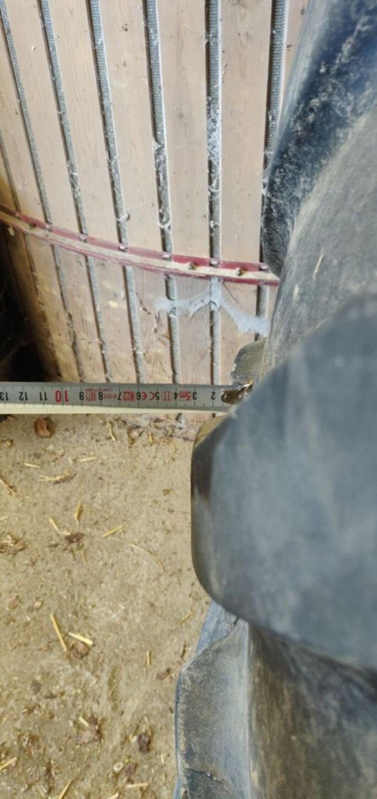 Steyr CVT, Case CVX, New Holland TVT Räder 580/70R42 3