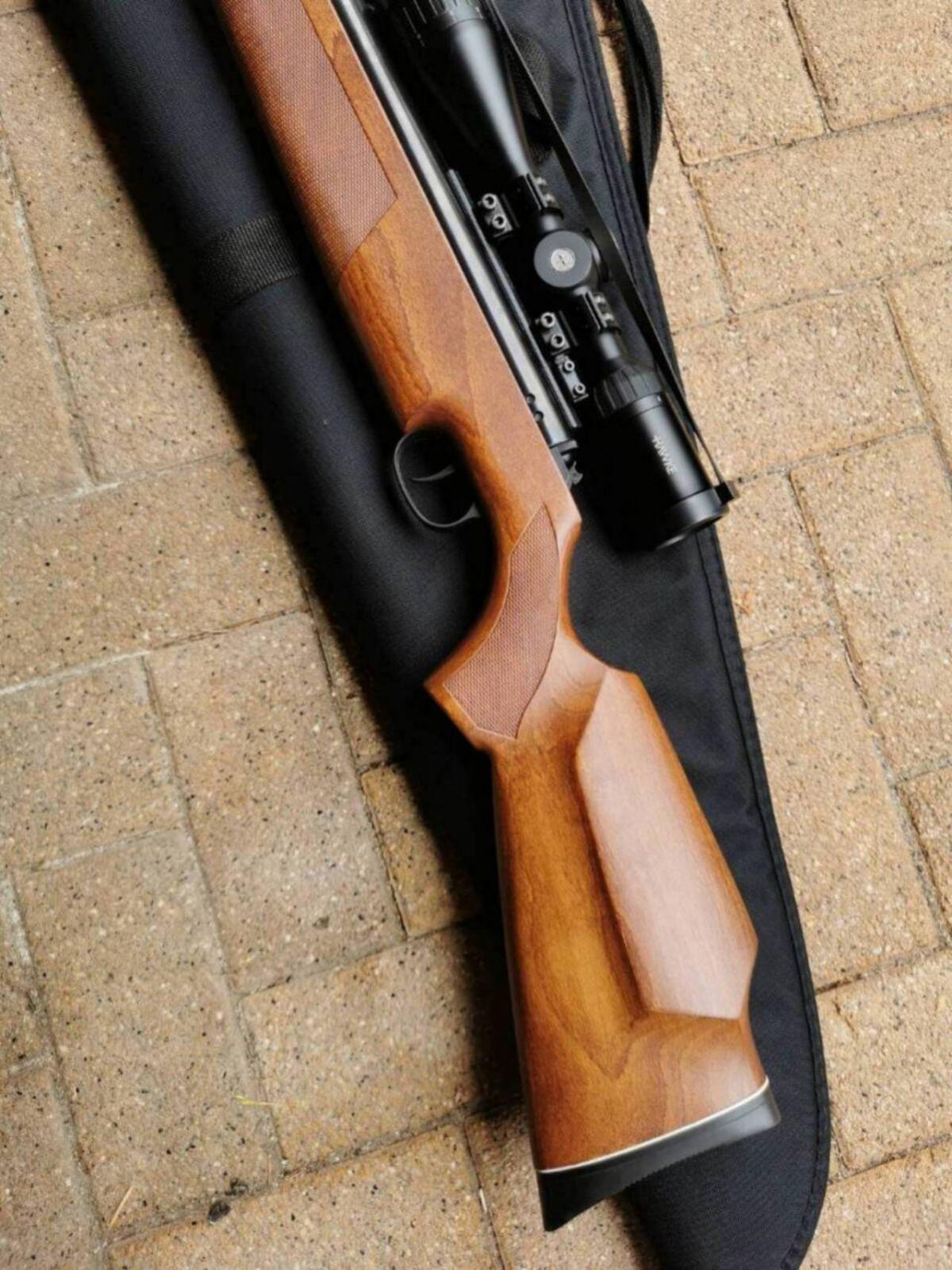Diana AirKing Mod. 54 Luftgewehr 2