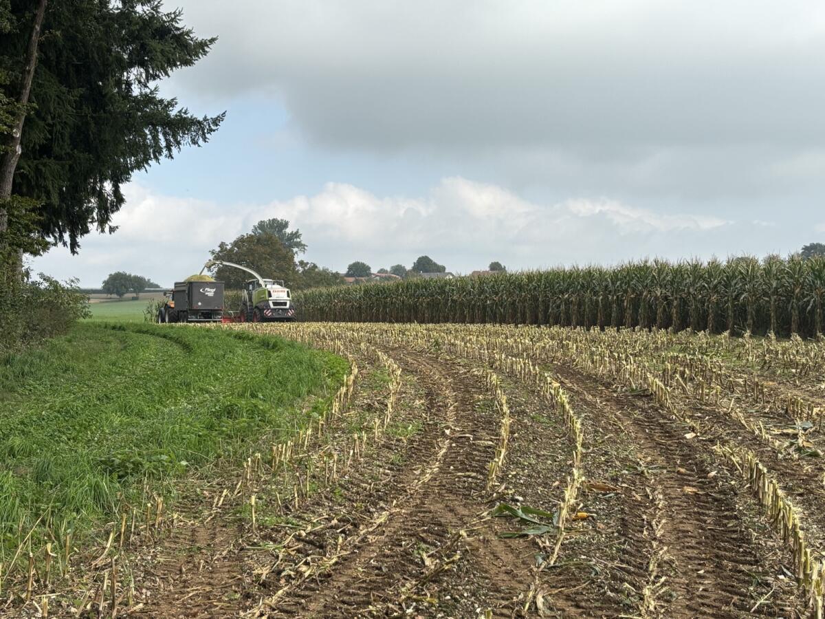 Vogel und Noot Eurocut 280 1