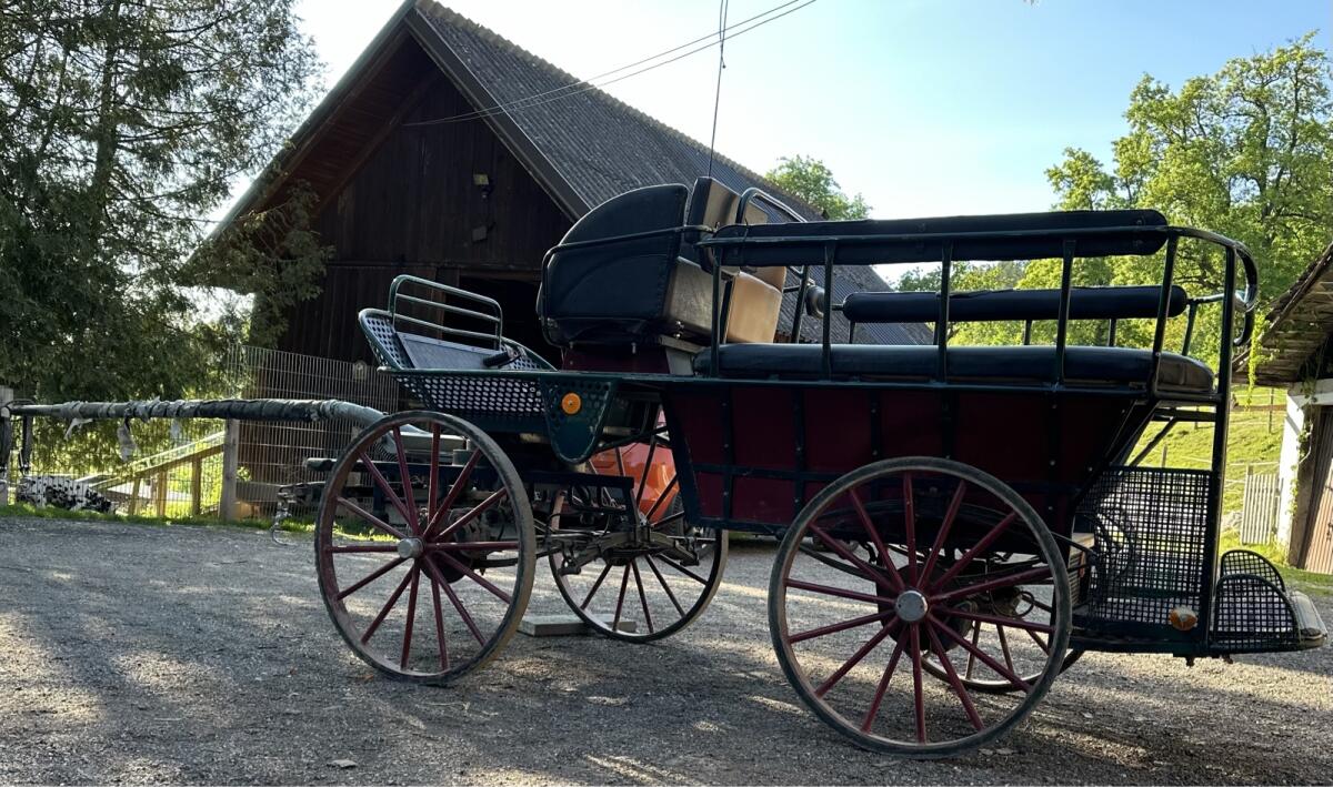 Wagonette 3