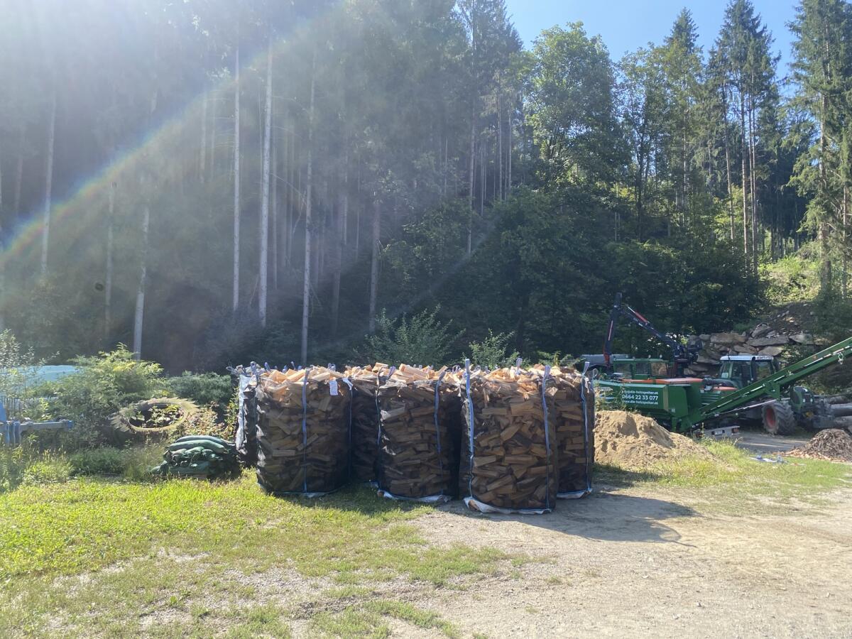 Buchenbrennholz 1