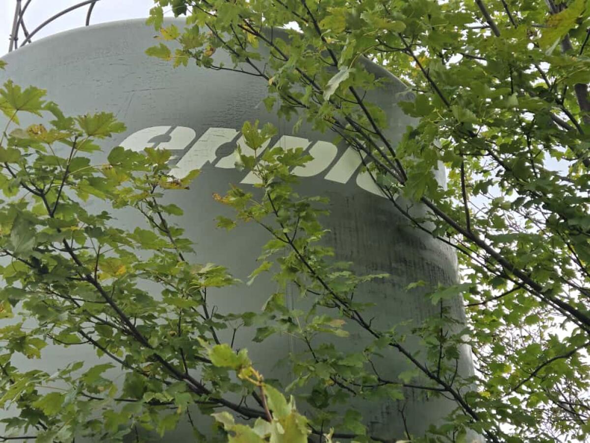Epple Silo ES80 G2 Hermetik - Selbstabbau/-abholung 3
