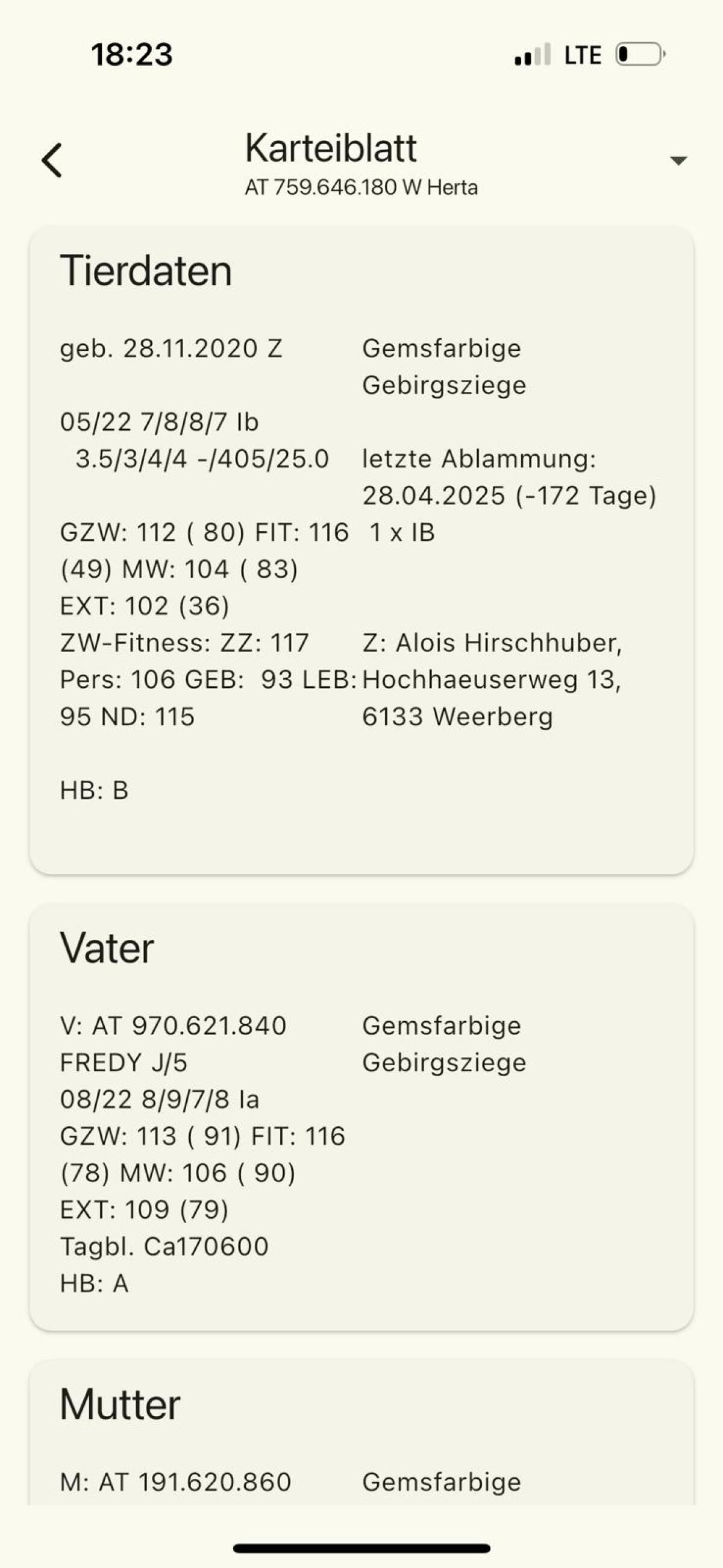 Verkaufe GGZ Ziegen 1
