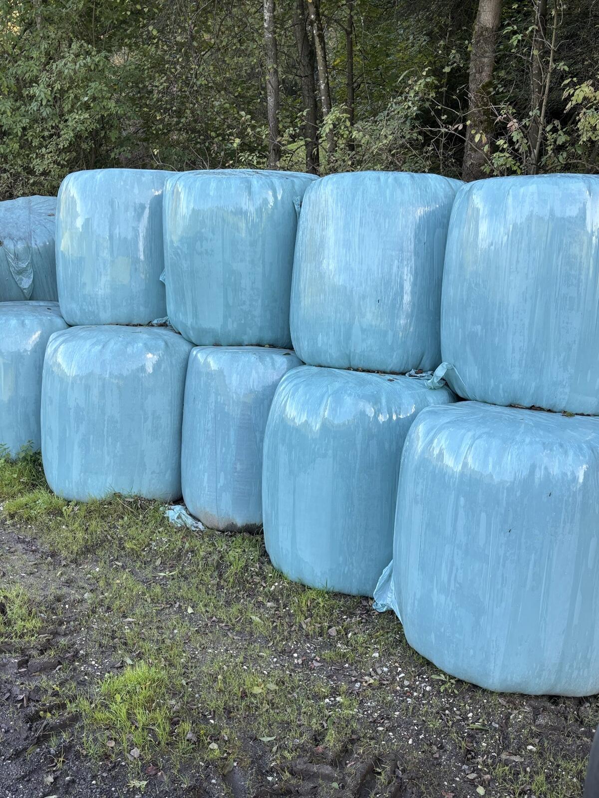 Silageballen der Ernte 2025 1