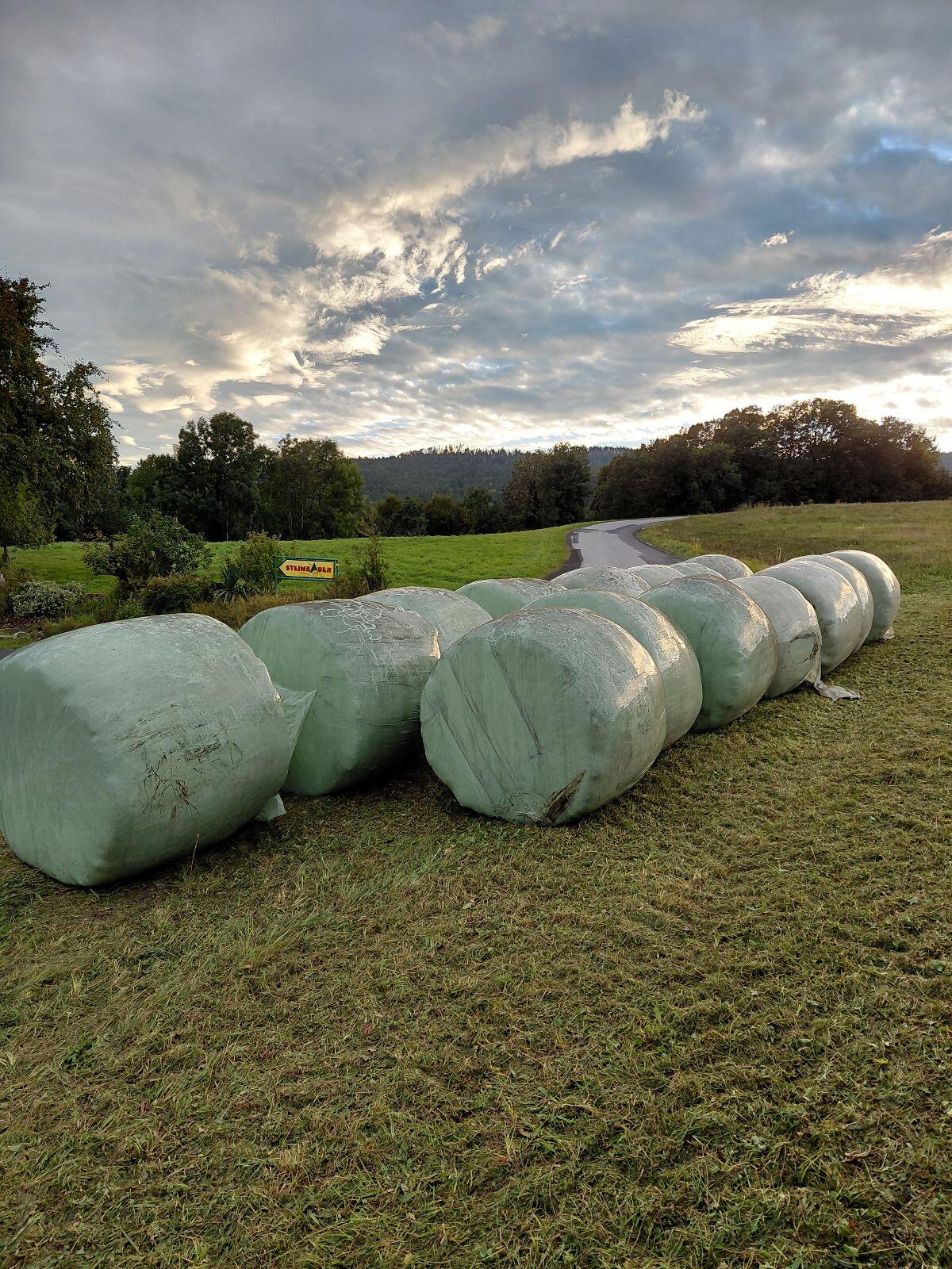 Siloballen Silageballen 1