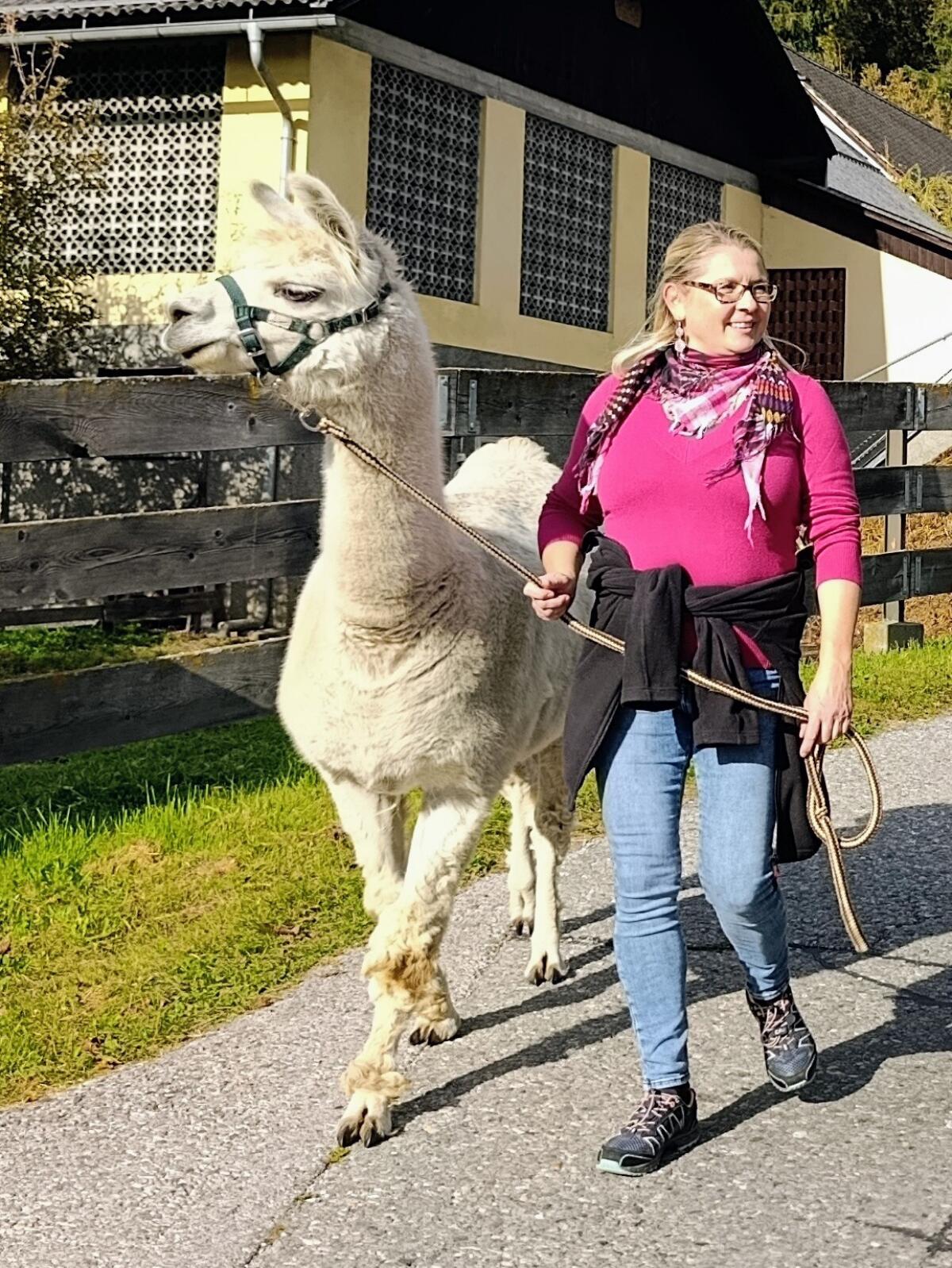 Lama 3