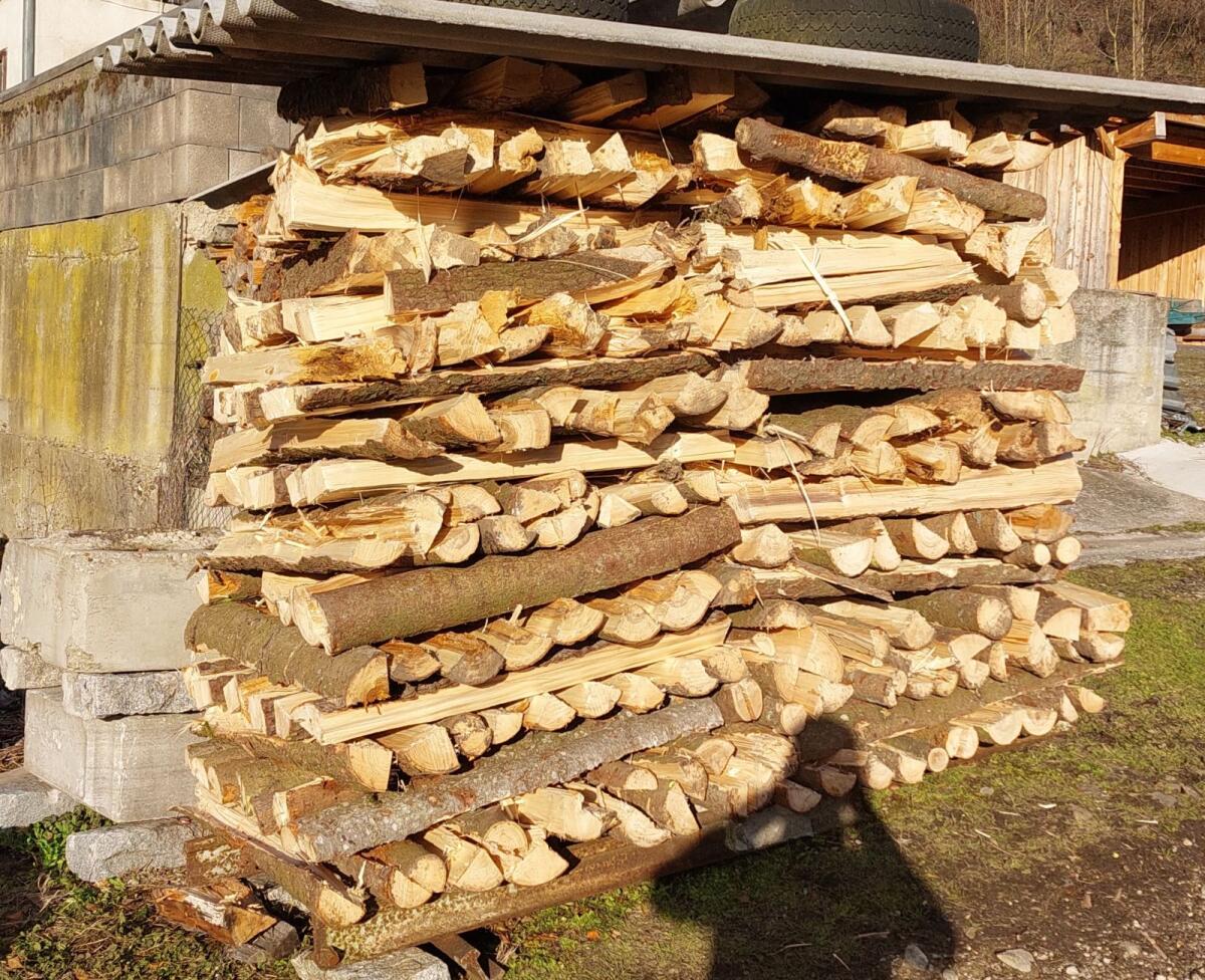 Fichten Brennholz 2