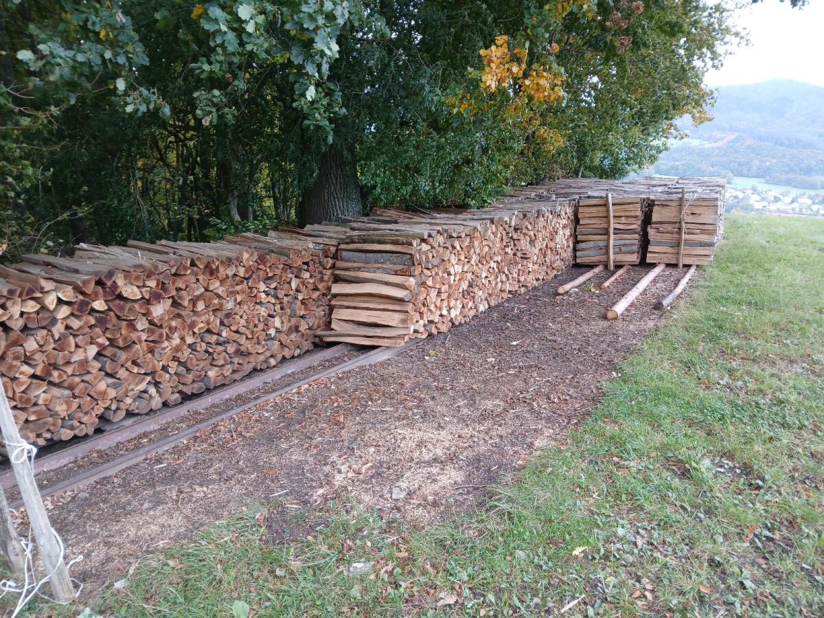 Buchenholz 2