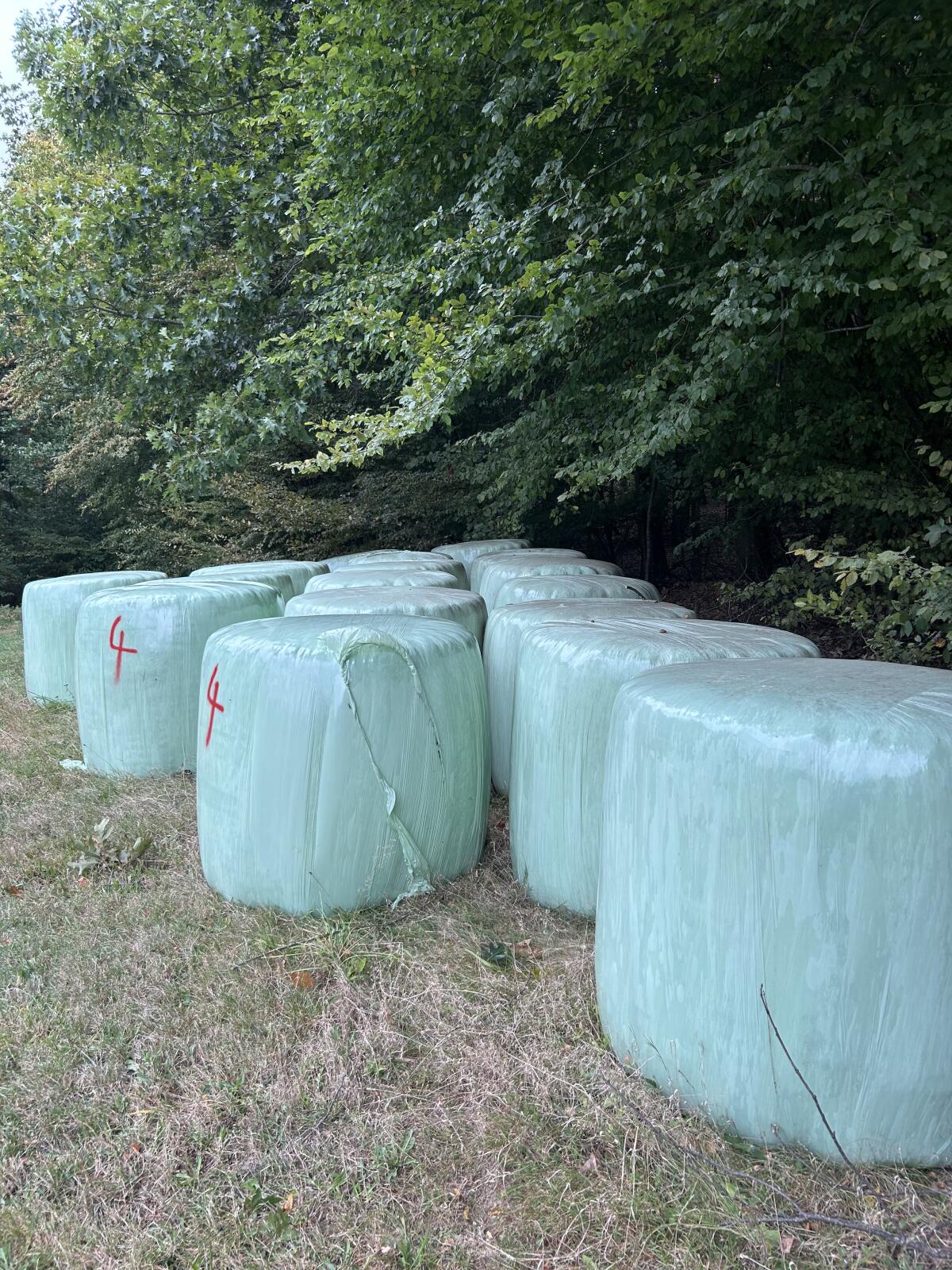 Silageballen 3
