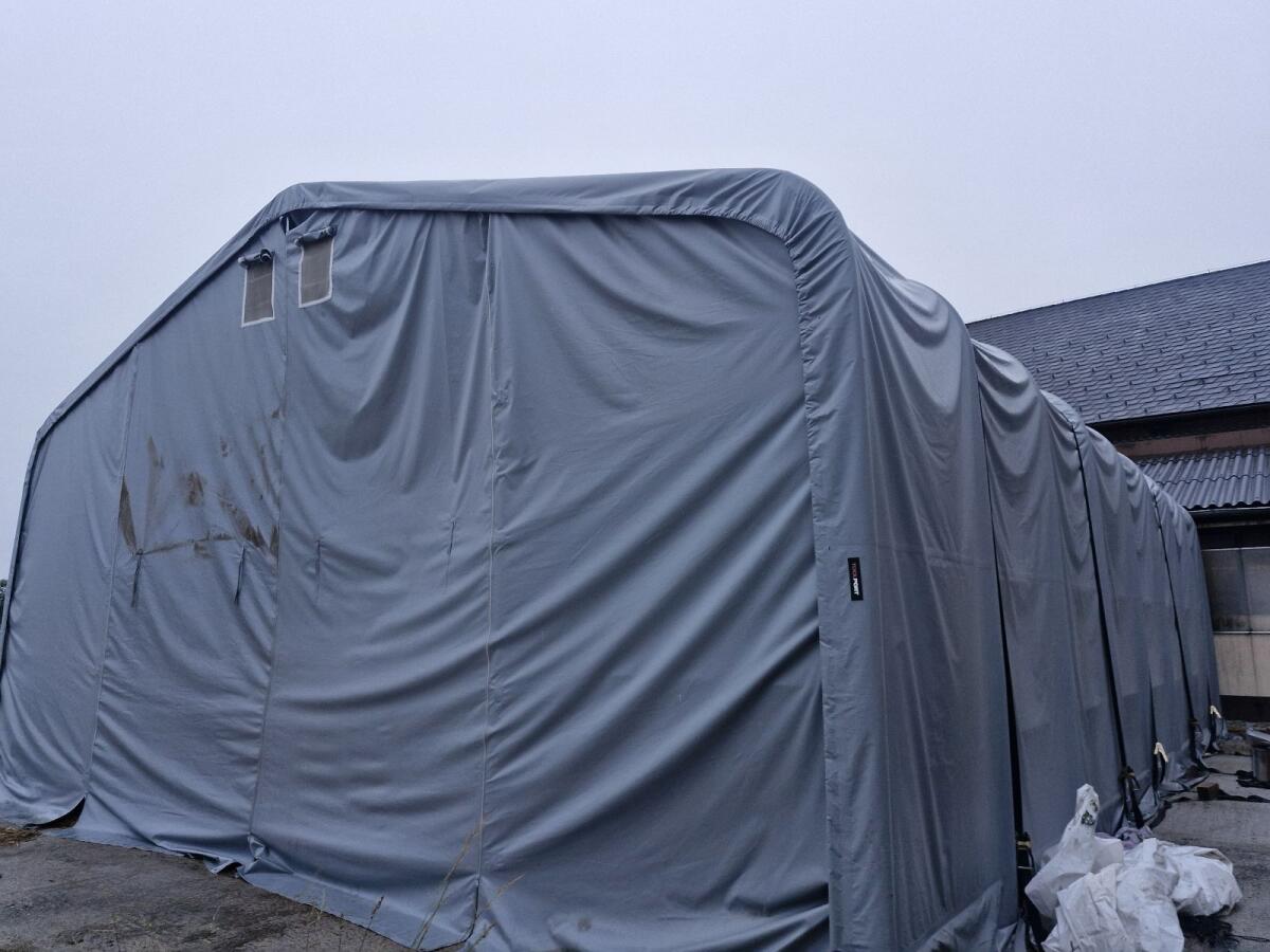 Zelthalle 8x12m 3