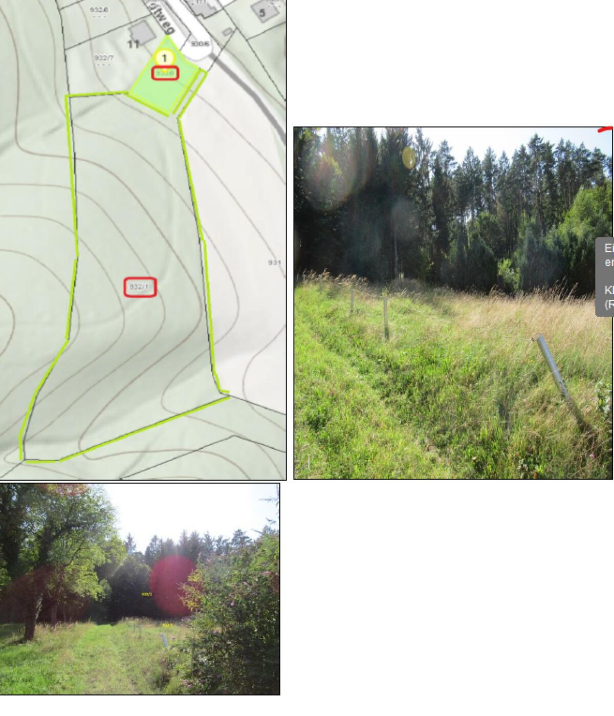 Waldverkauf 1