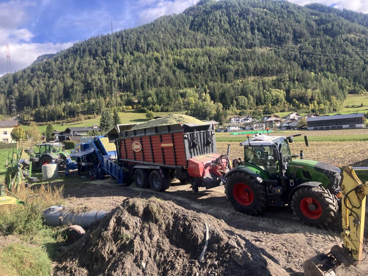 Maissiloballen bio und konventionell 3