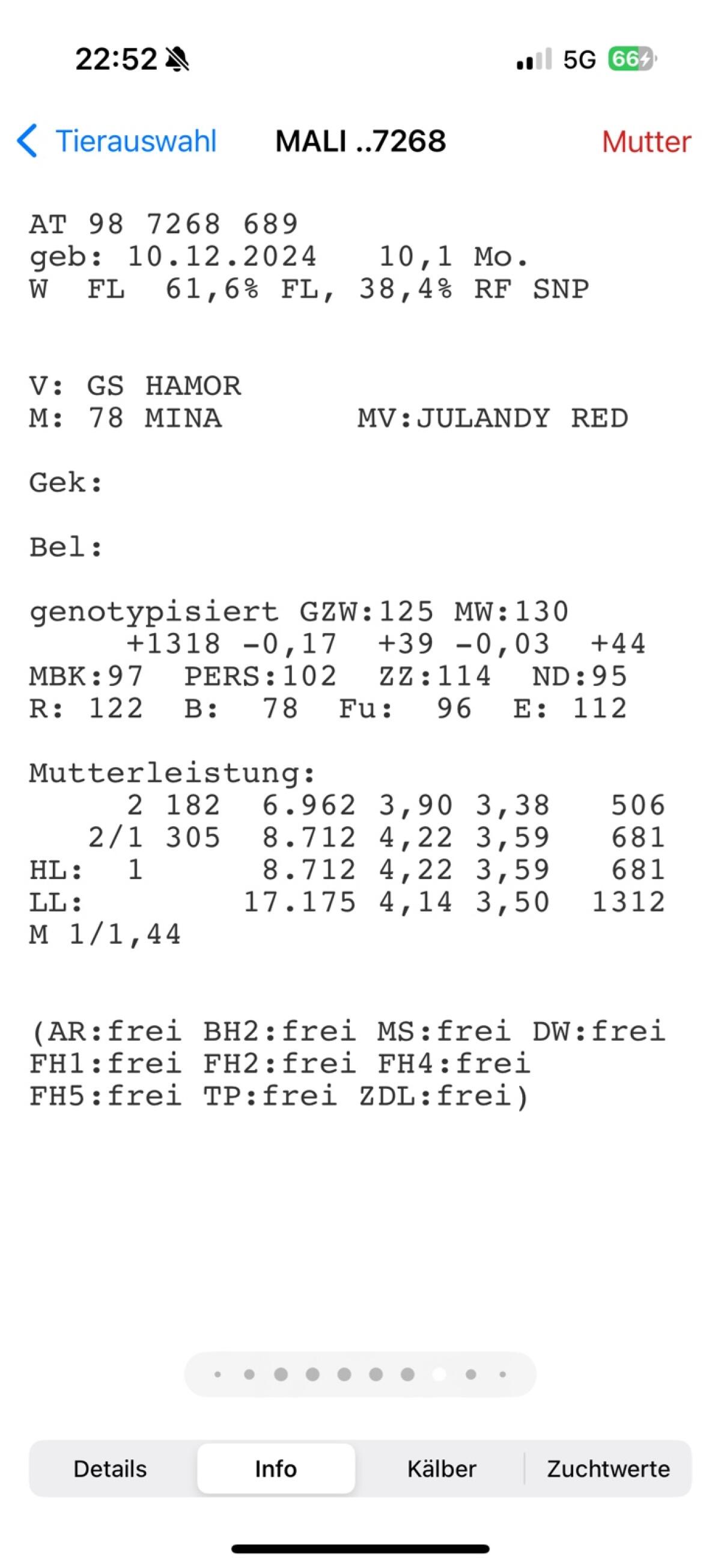 Jungkalbinnen 2