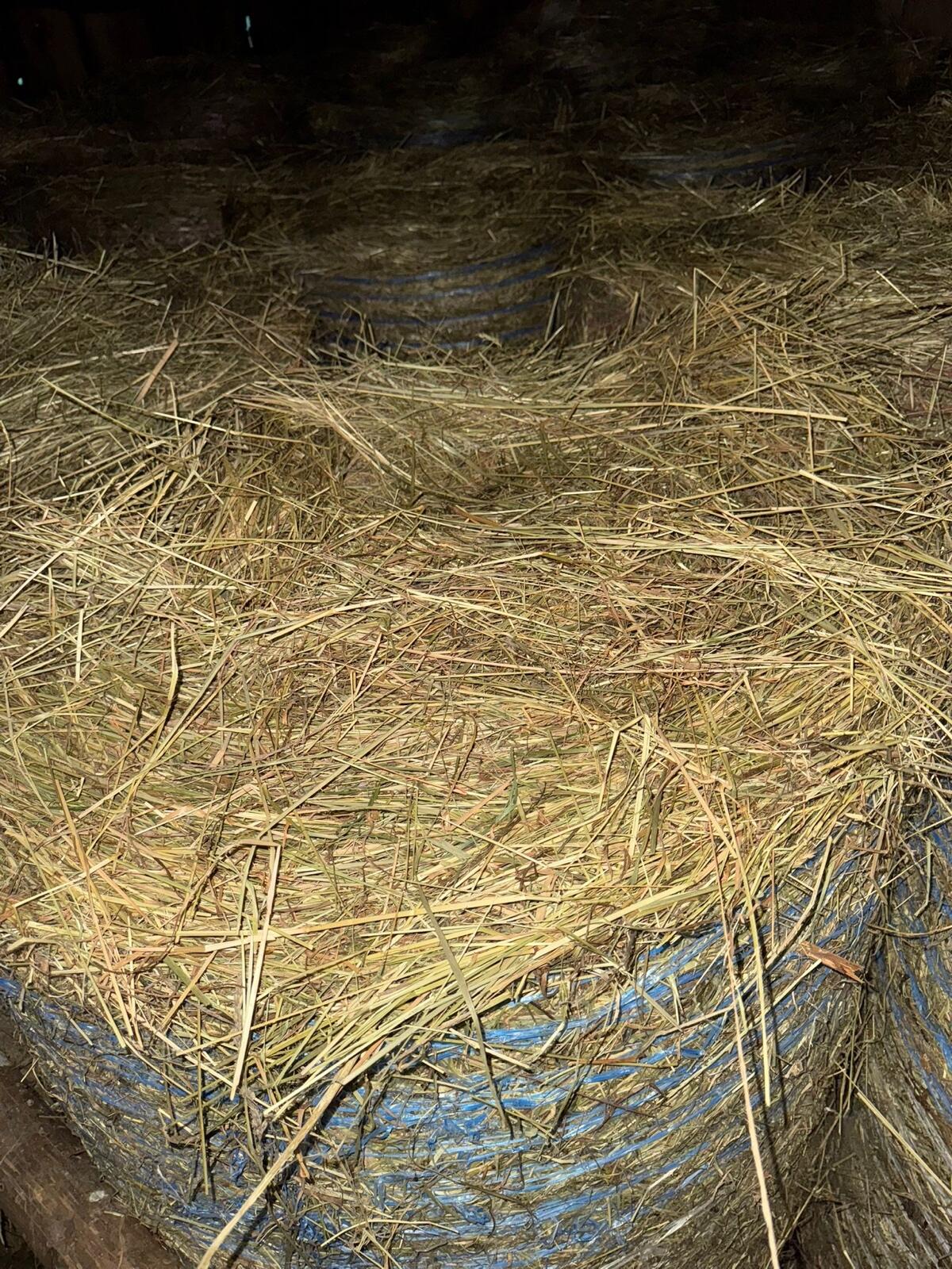 Heuballen 2