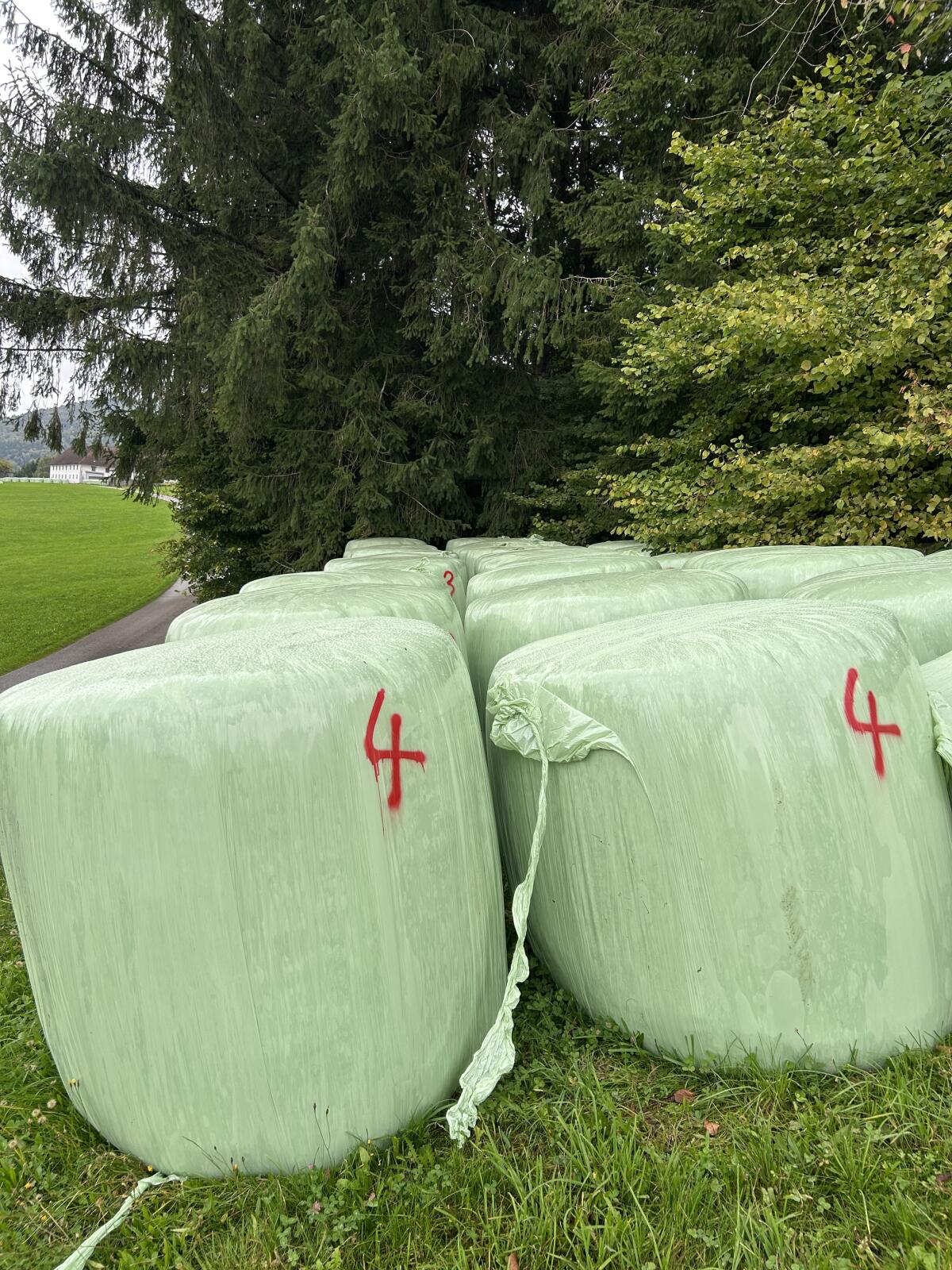 Silageballen 2