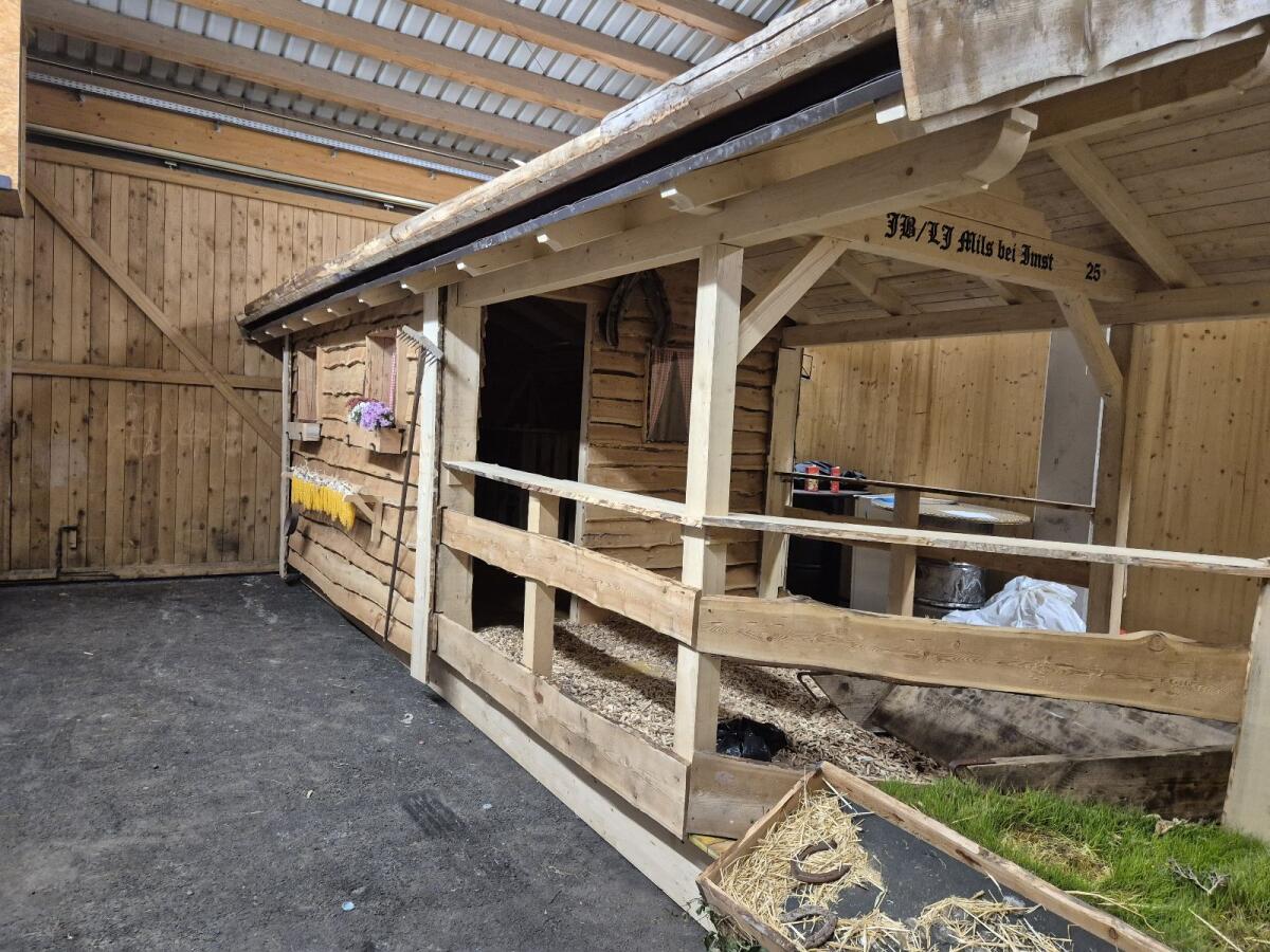 Almhütte 3