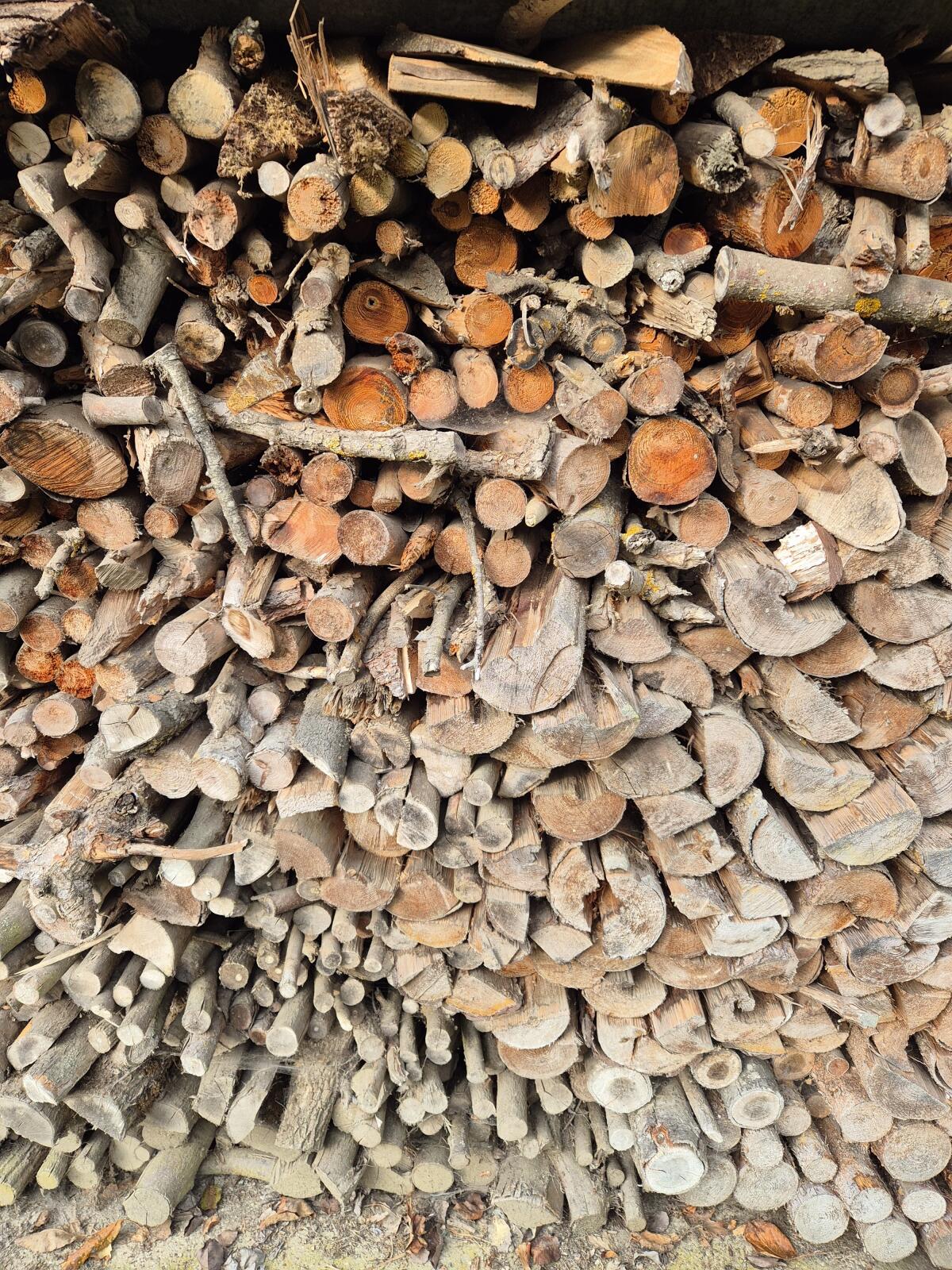 Brennholz 1