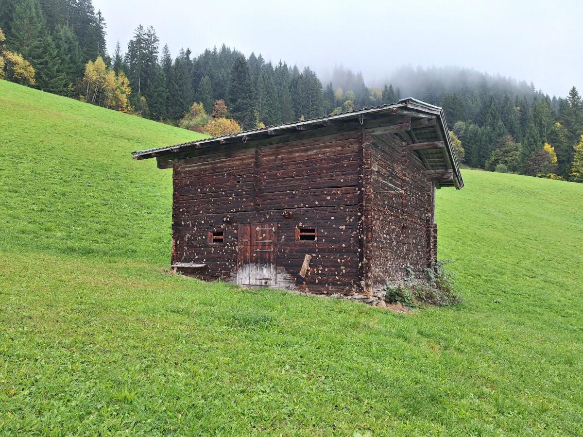Altholzstall zu verkaufen 3