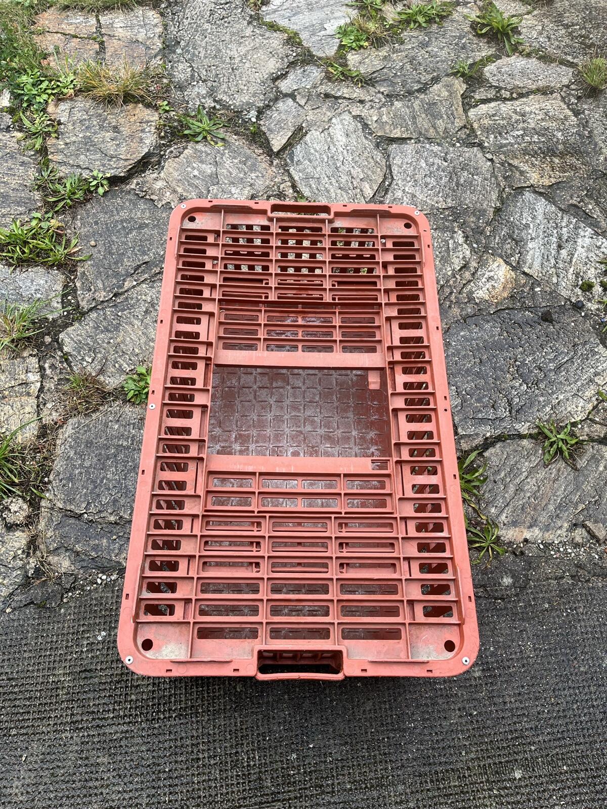 Hühnerkisten 2