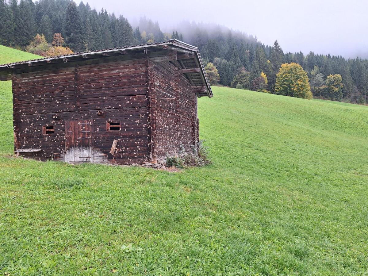 Altholzstall zu verkaufen 2