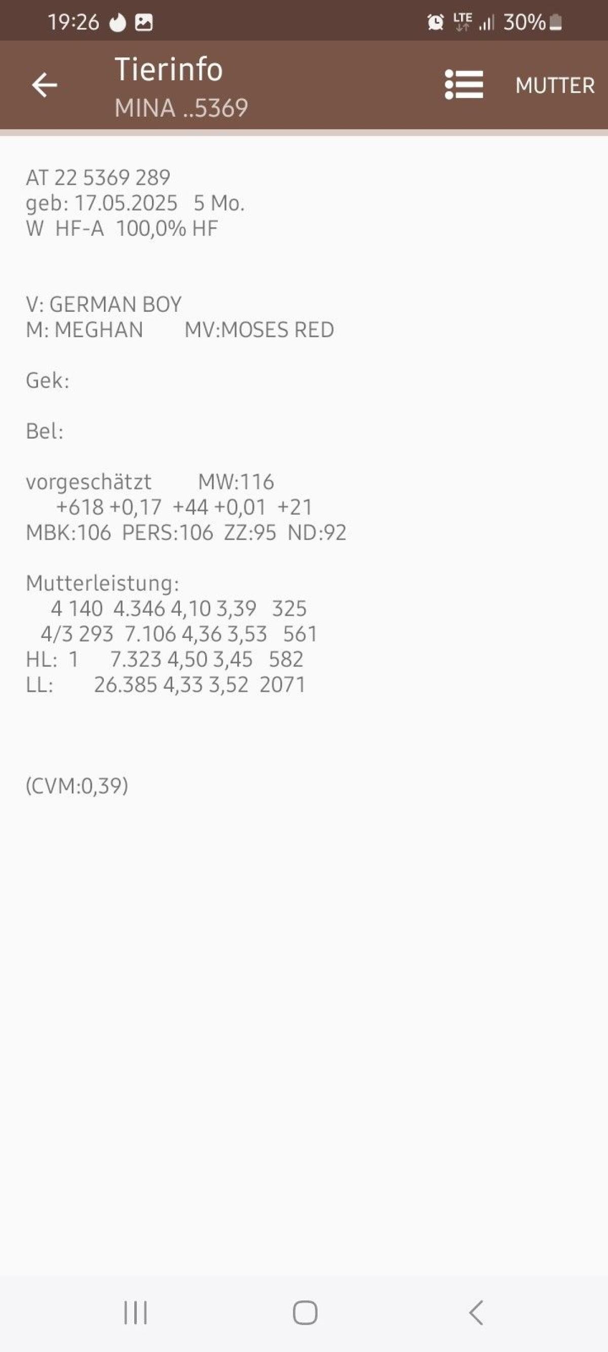 HF Kalb zu verkaufen 2