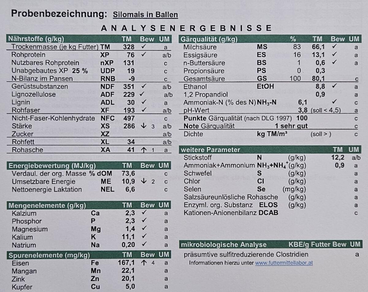 Verkaufe Bio-Maisballen (Silomais) 3