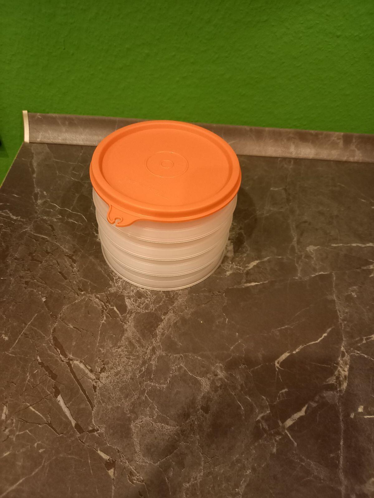 Hamburger Einfrierbehälter Tupperware 3