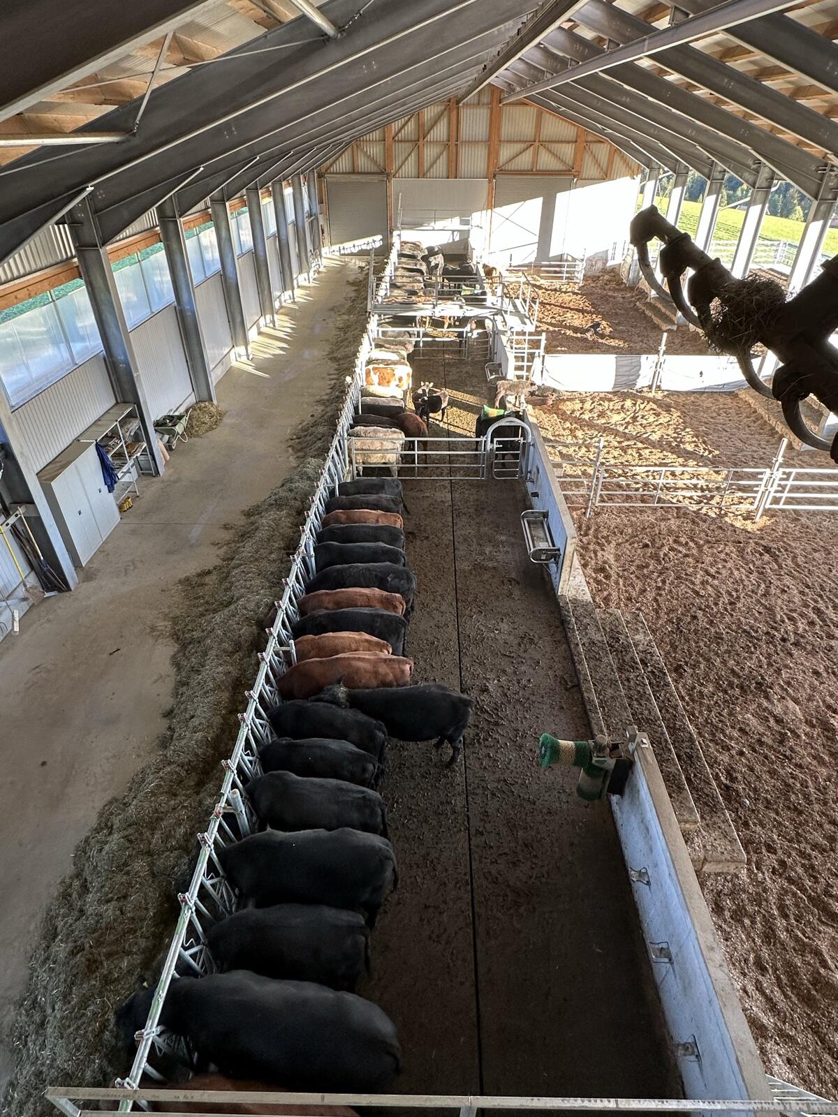 Landwirtschaftliche/r Mitarbeiter/in 2