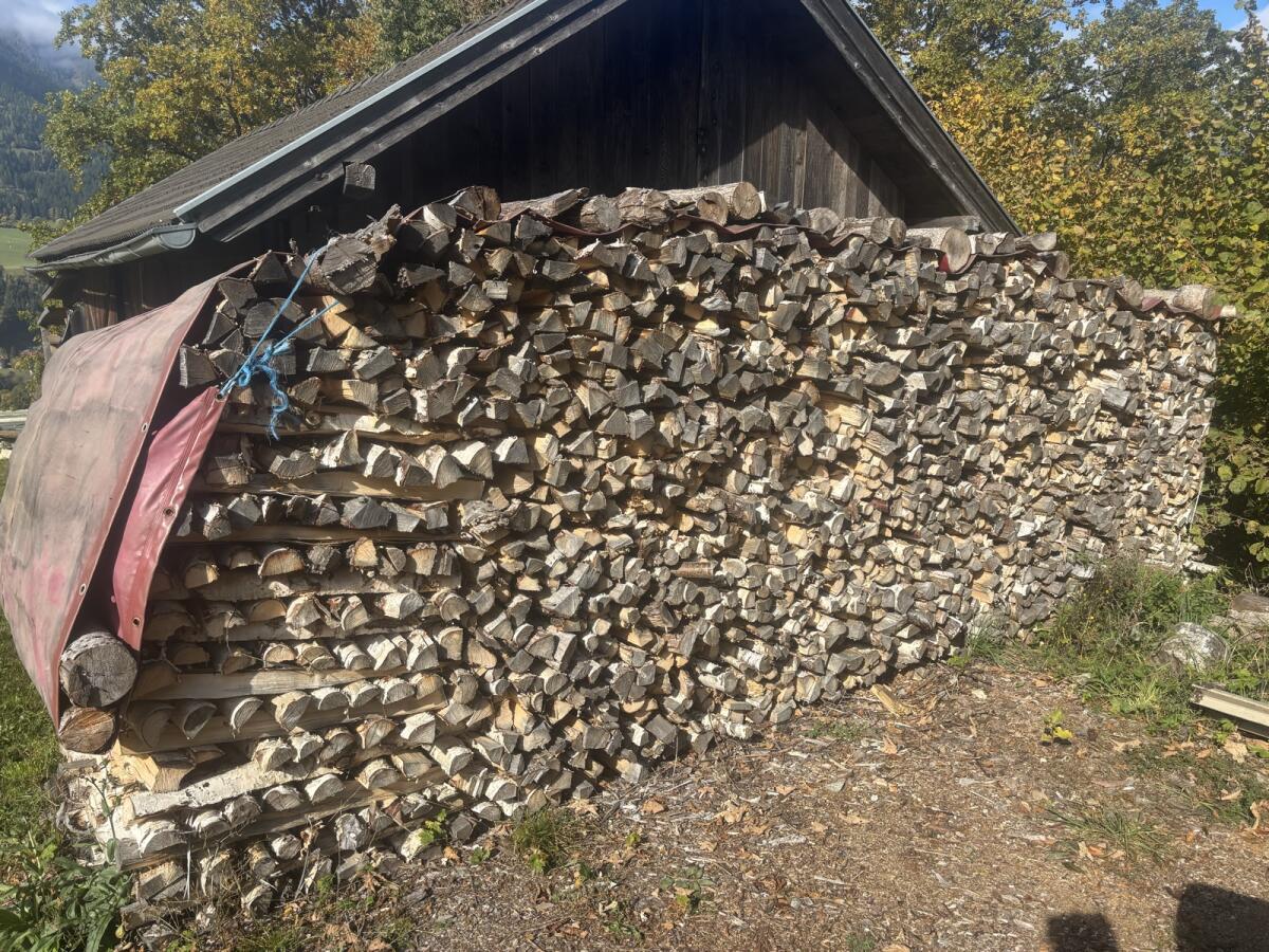 Birkenholz 1