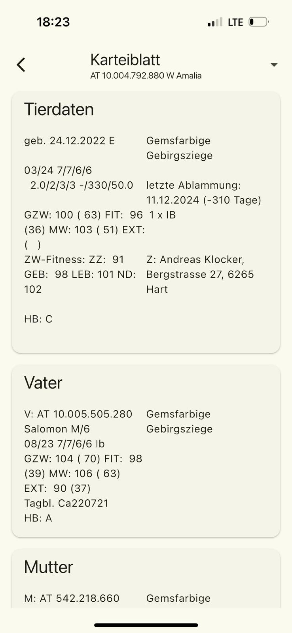Verkaufe GGZ Ziegen 2