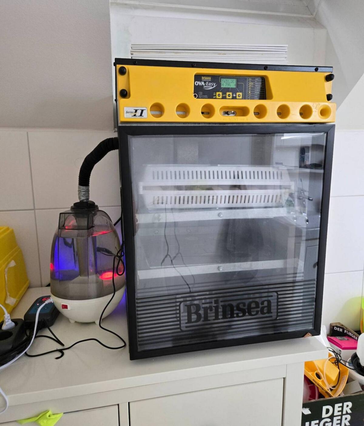 Brinsea OvaEasy II 100 Brutautomat 1