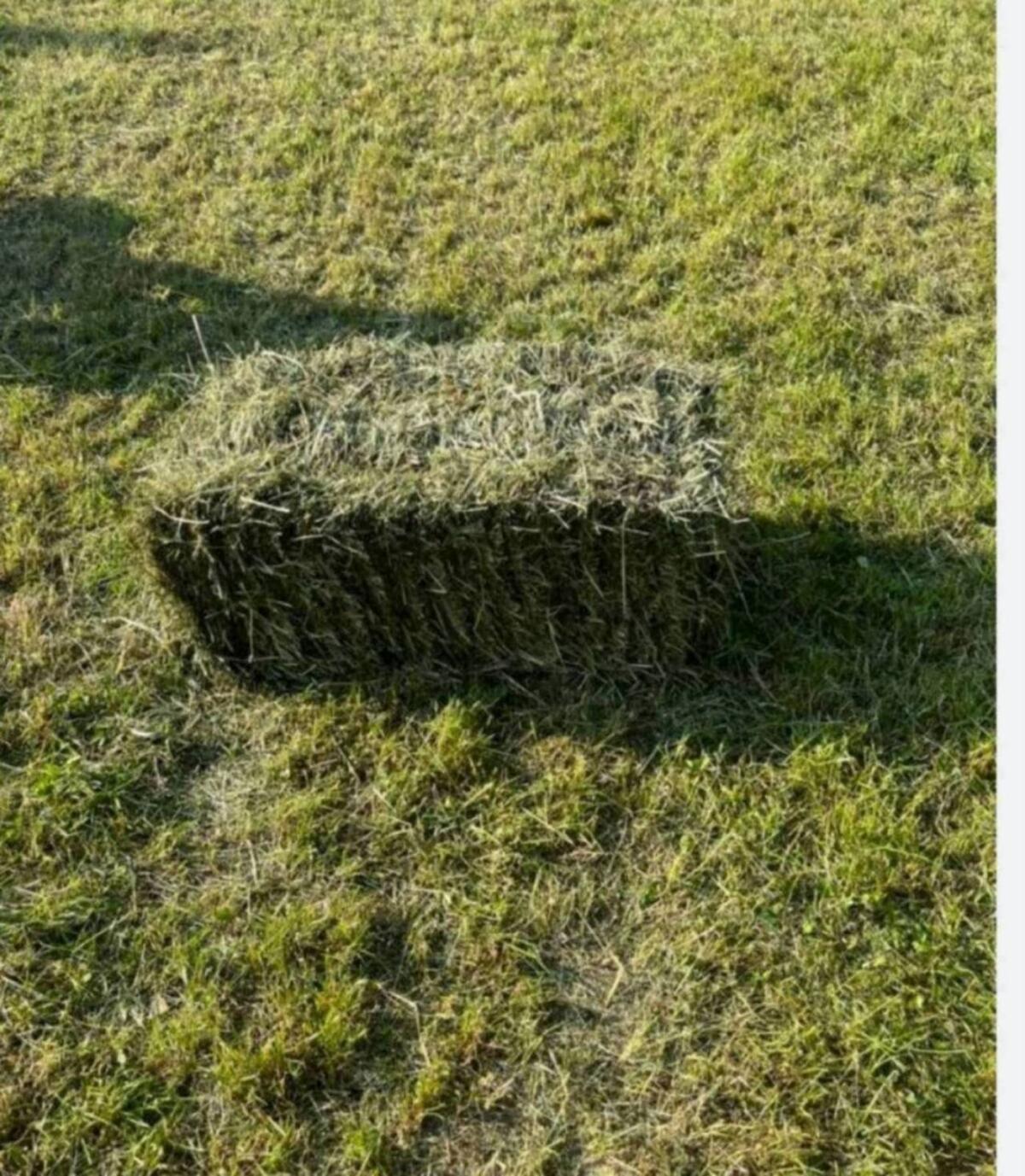 Heuballen 1