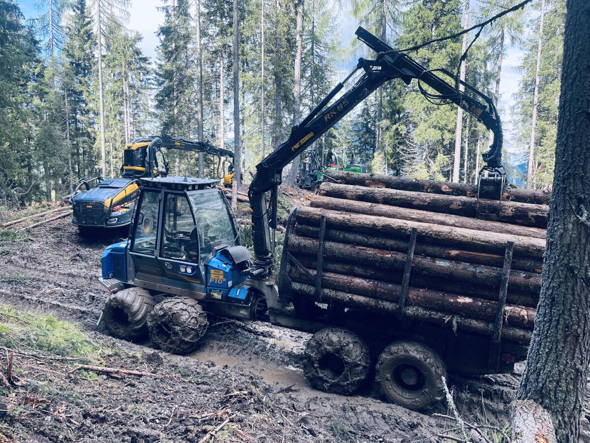 Rottne Rückezug F10B mit Herzog Traktionswinde 1